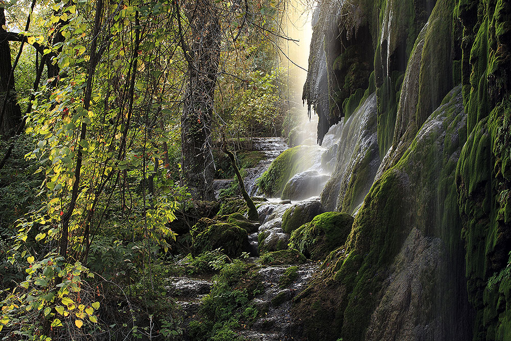 Gorman Falls_151007_0098